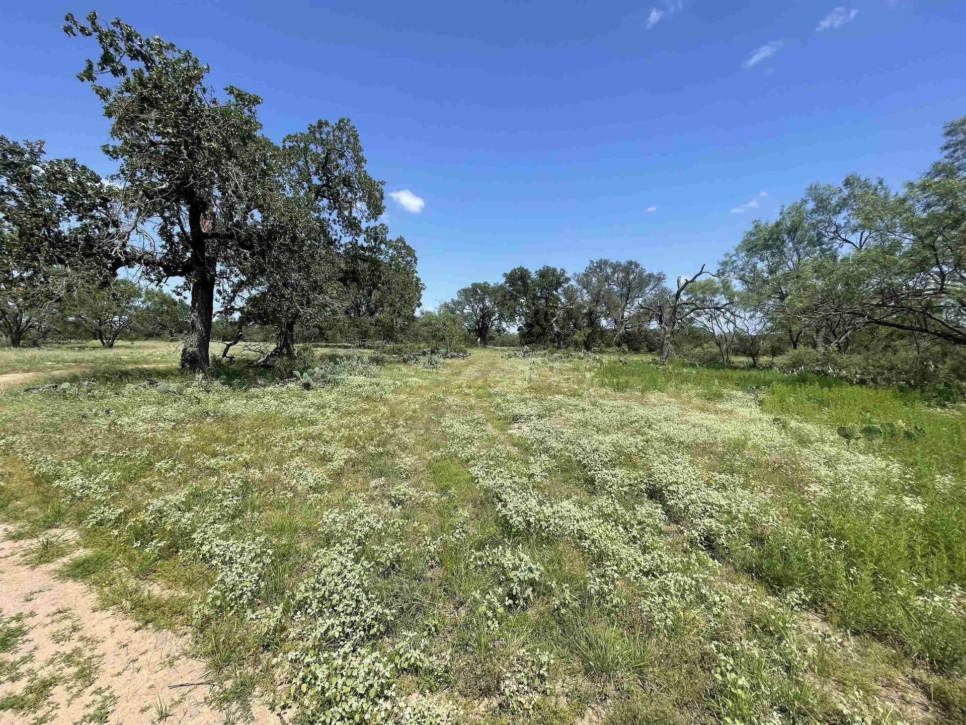 32.09 acres in Burnet County featured view