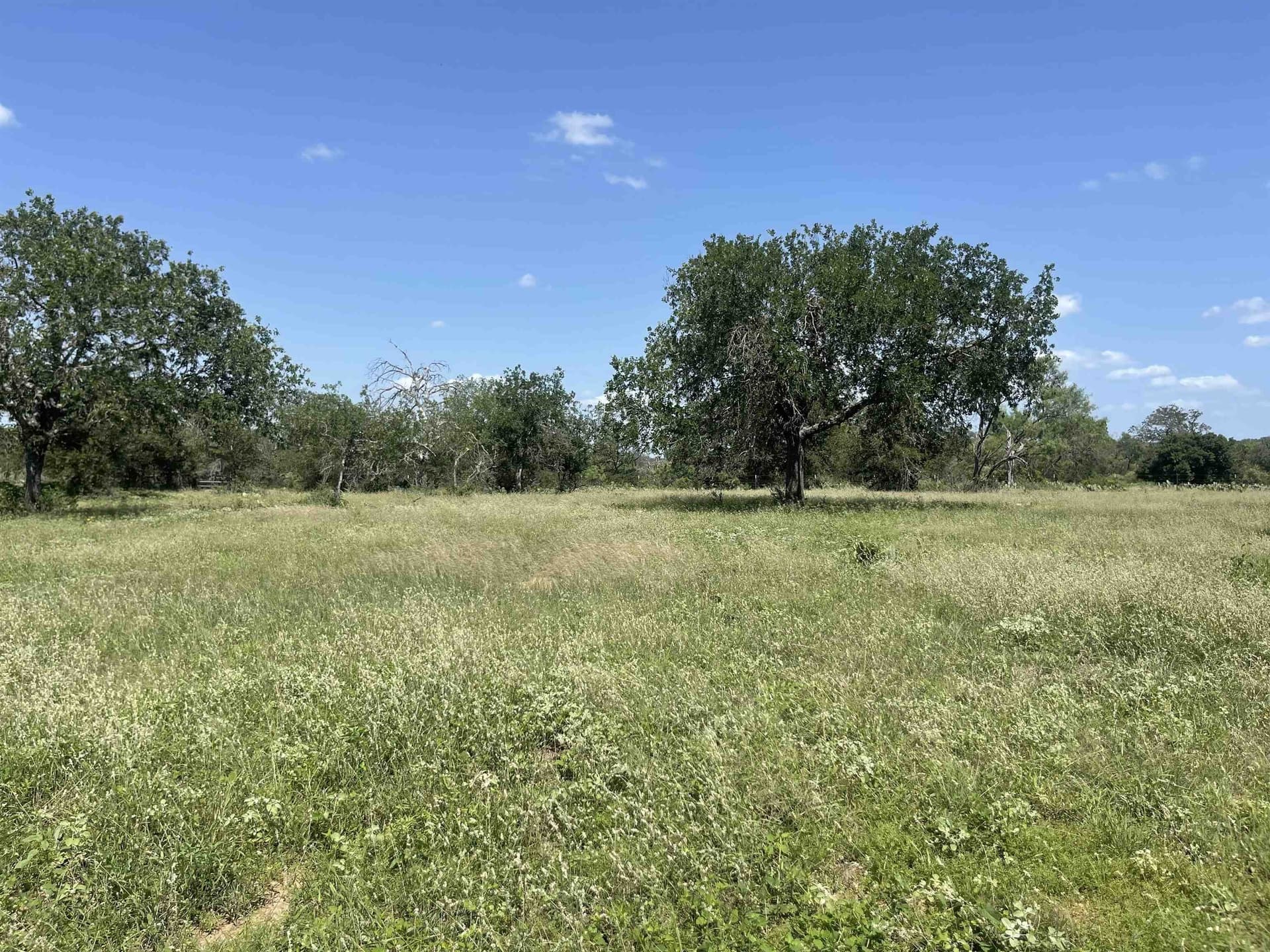 32.09 acres in Burnet County gallery image 3