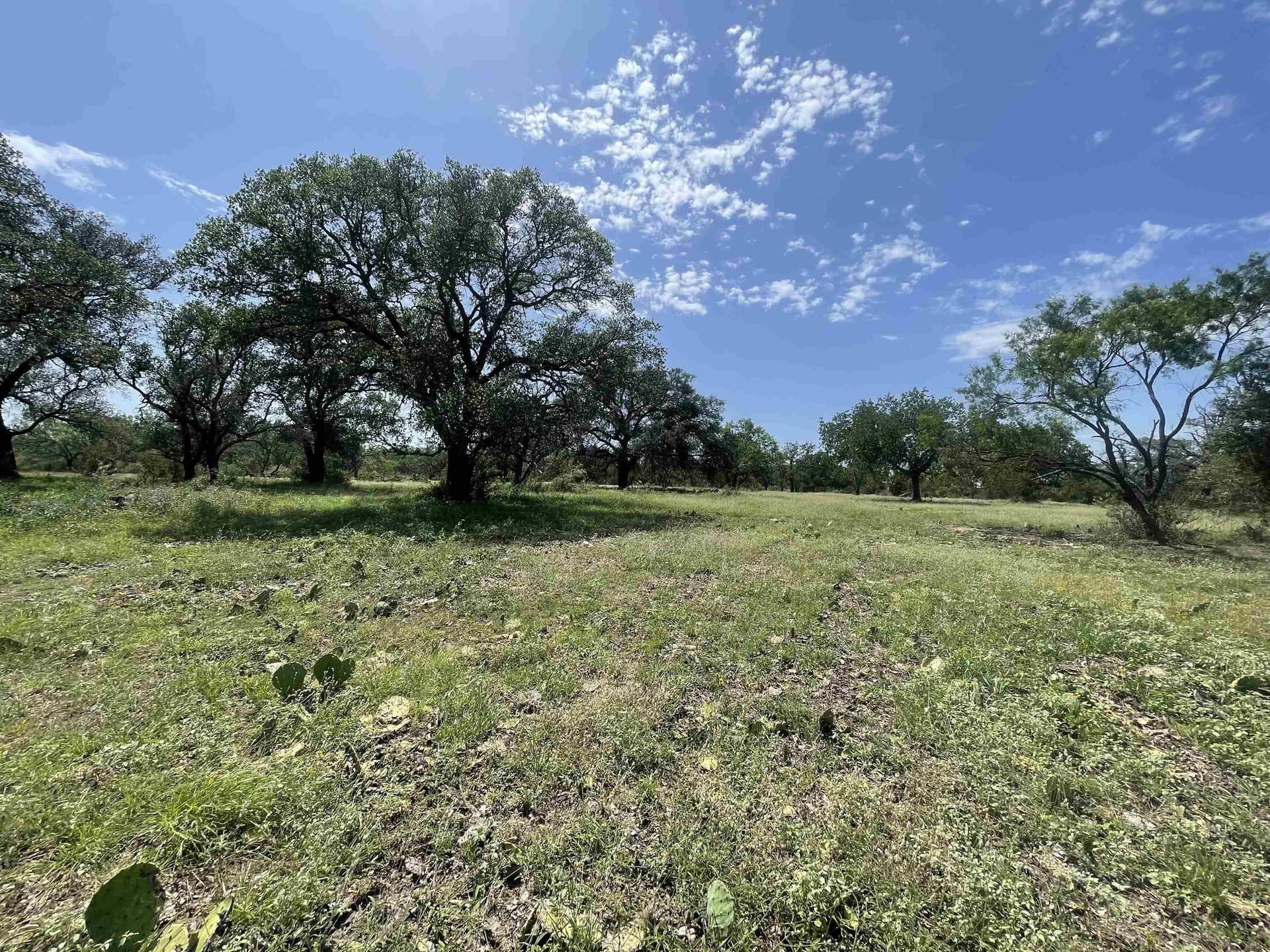 32.09 acres in Burnet County gallery image 4