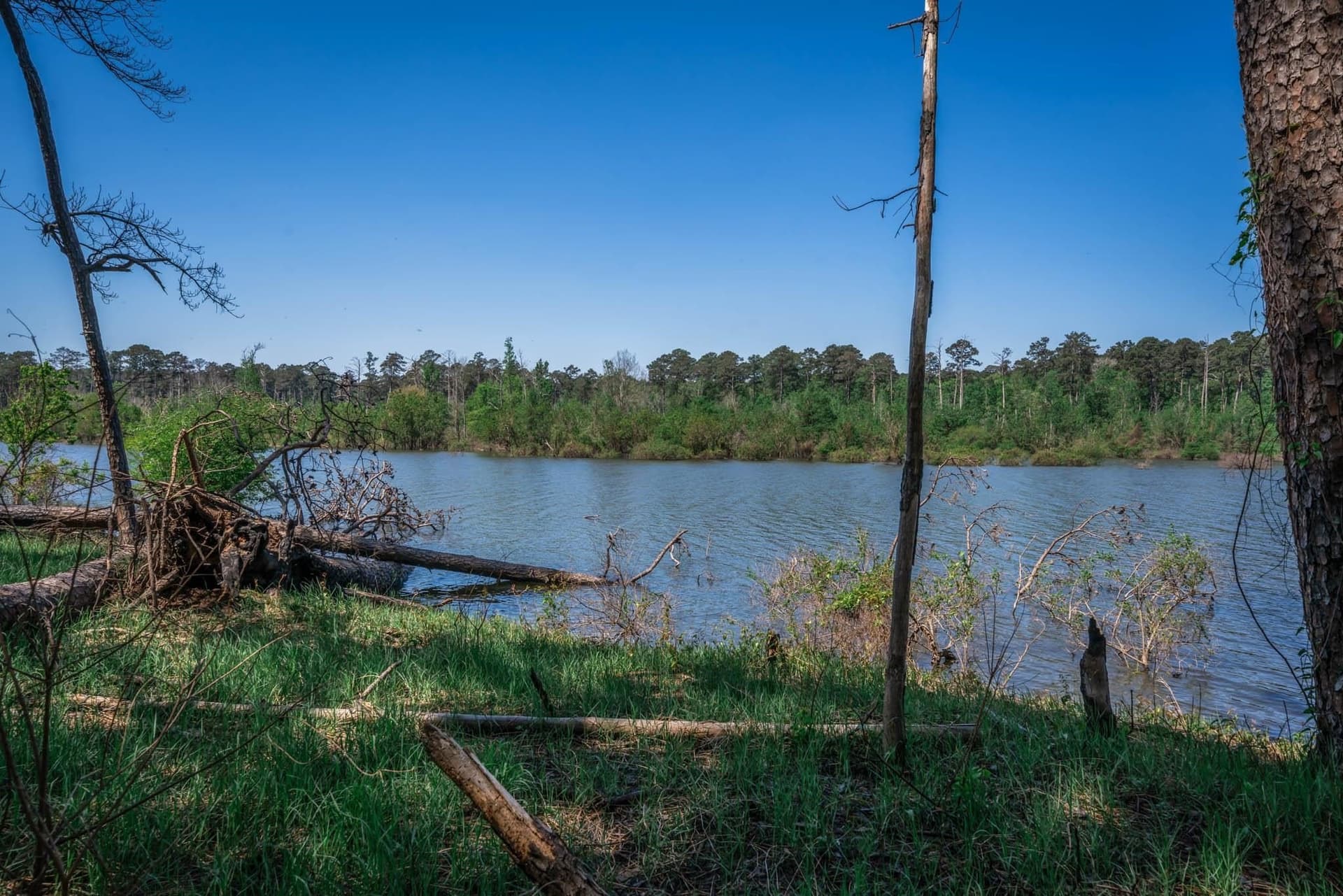15.61 acres in Angelina County - photo 43