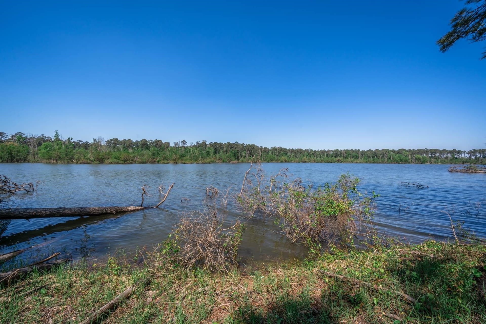 15.61 acres in Angelina County - photo 44