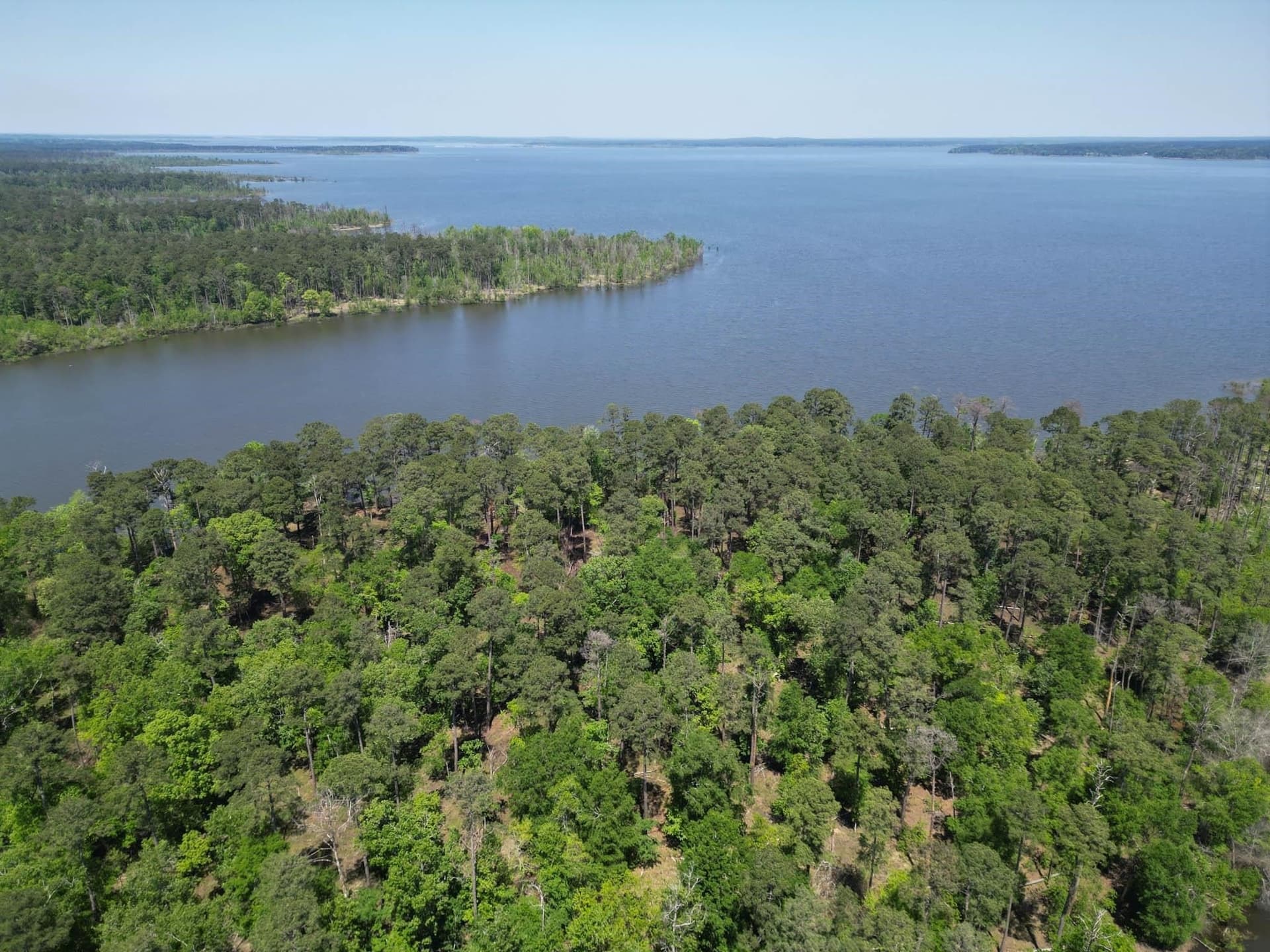 15.61 acres in Angelina County - photo 9