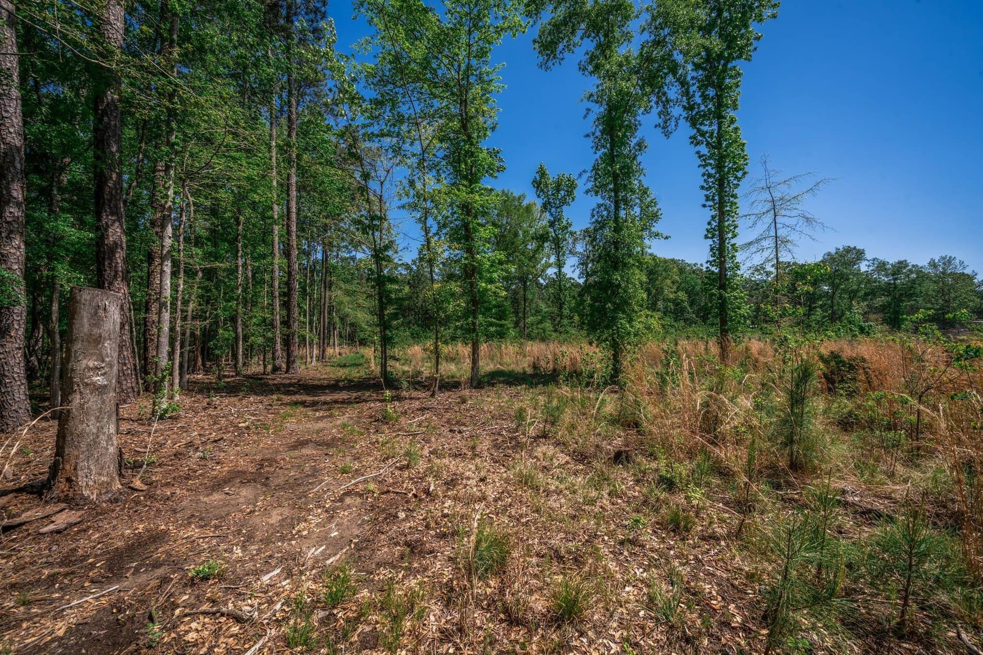 15.61 acres in Angelina County - photo 46
