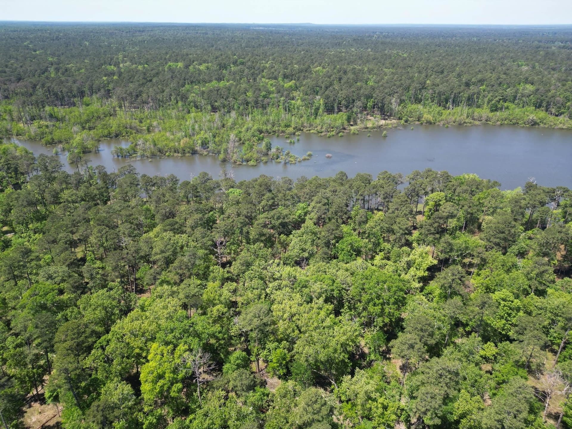 15.61 acres in Angelina County - photo 49