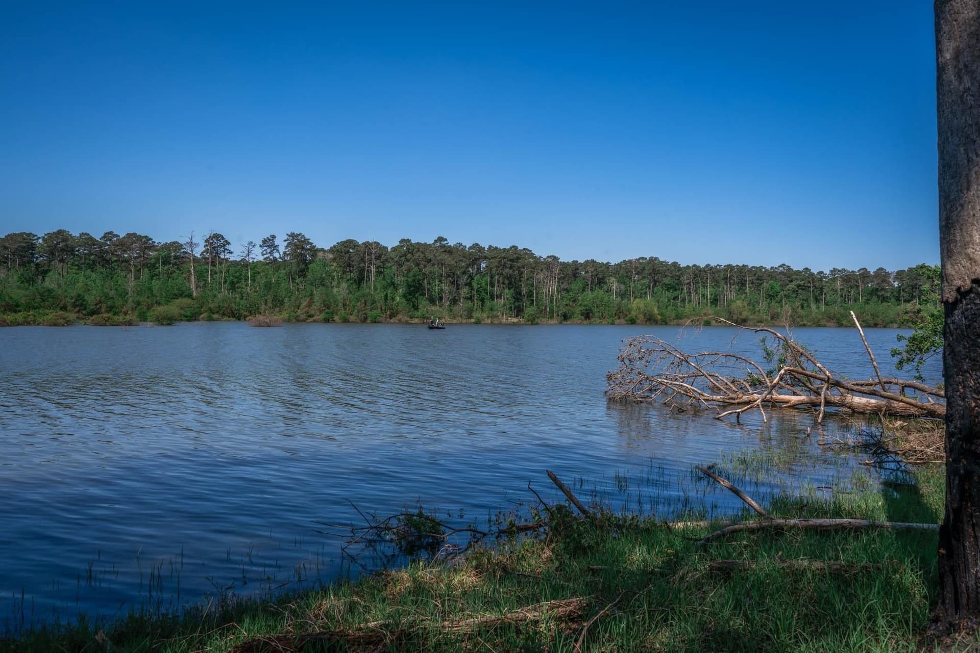 15.61 acres in Angelina County - photo 45
