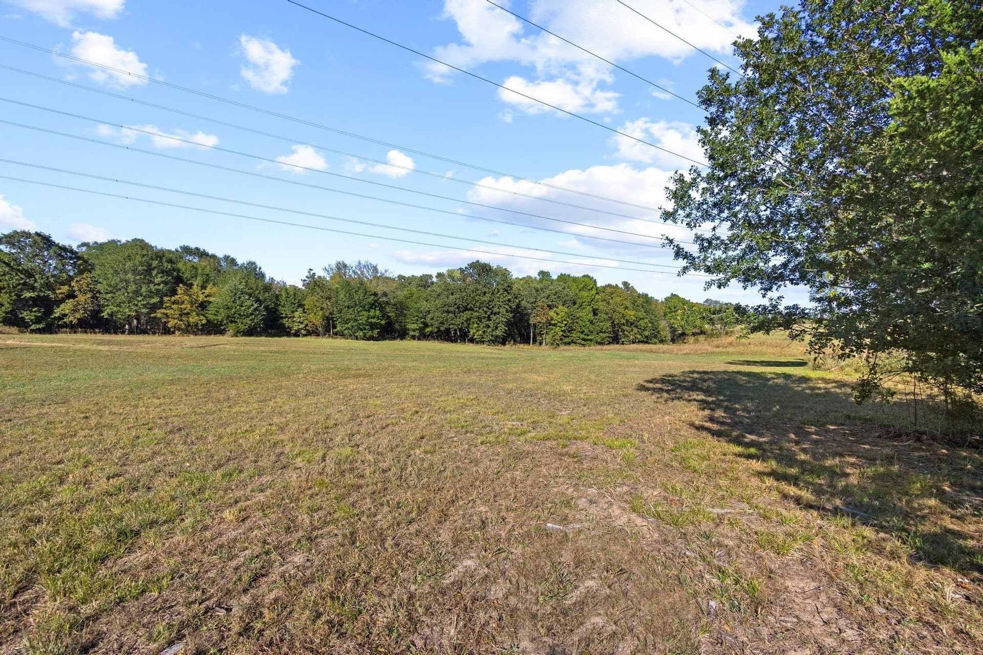 2.49 acres in Fannin County - photo 6