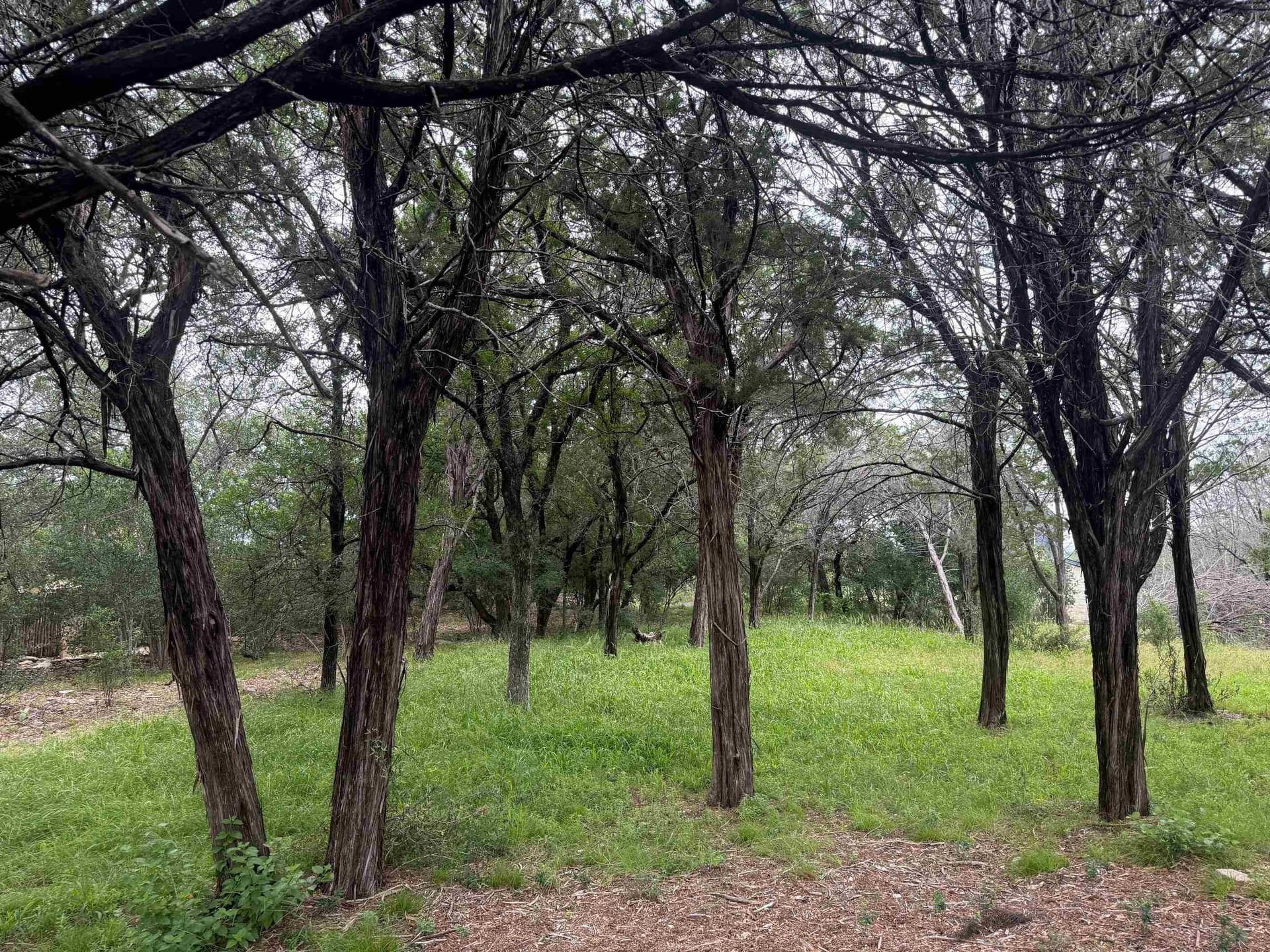 0.13 acres in Llano County gallery image 2