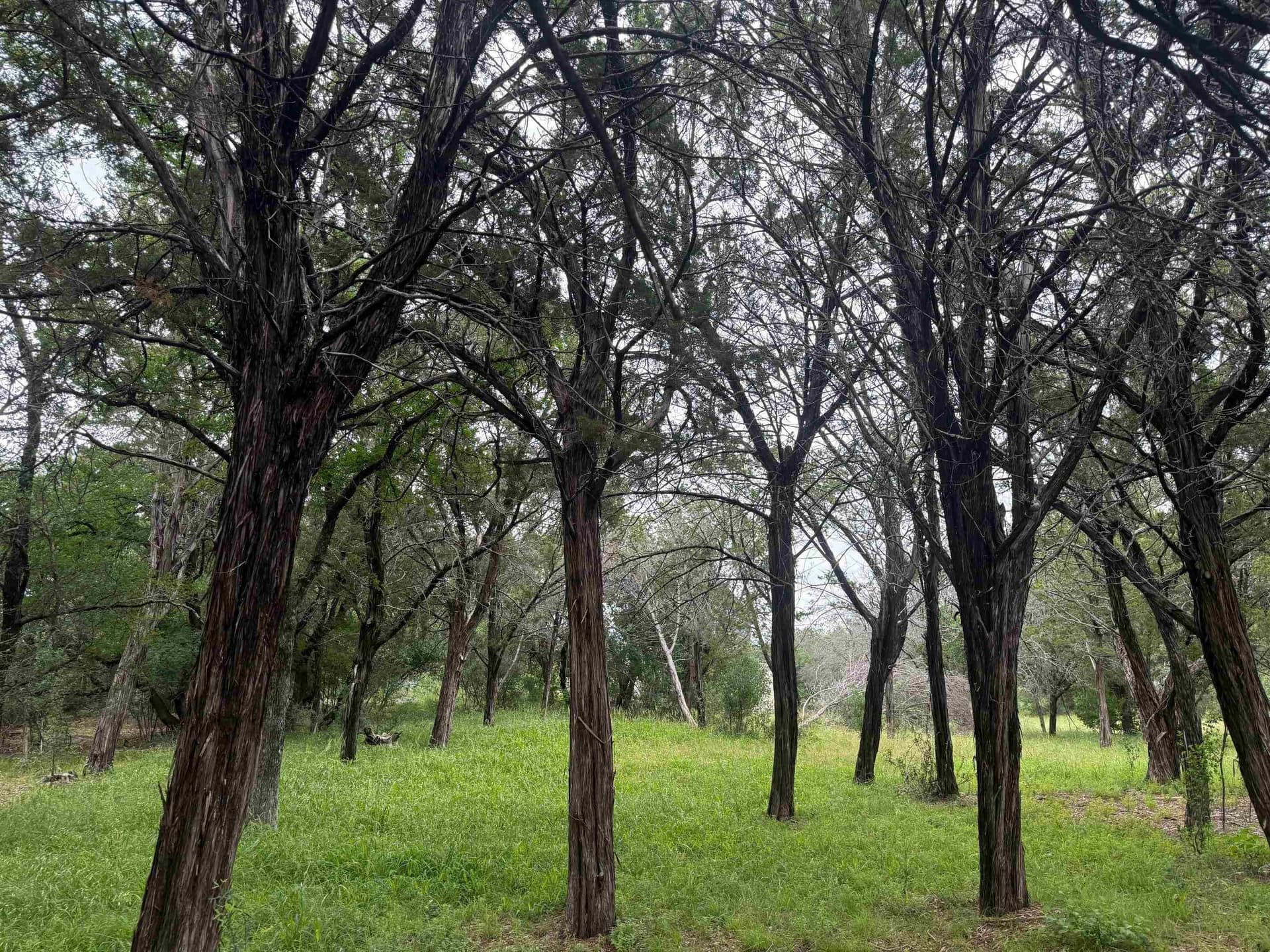 0.13 acres in Llano County gallery image 3