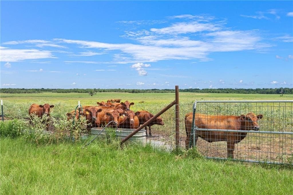 76 acres in Milam County - photo 44
