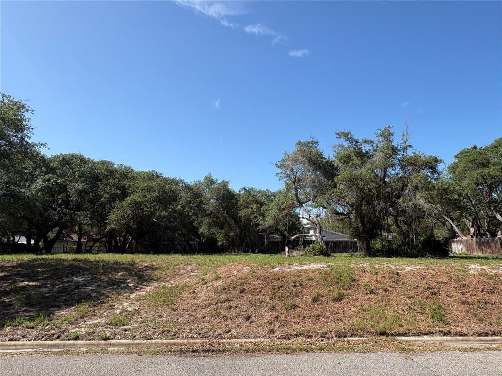 0.25 acres in Aransas County - photo 7