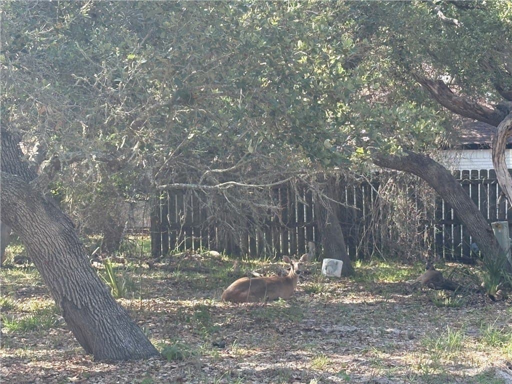 0.25 acres in Aransas County - photo 10