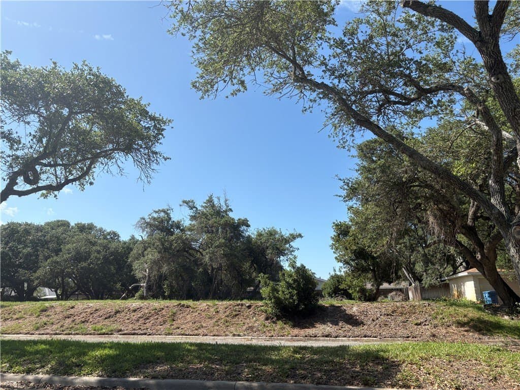 0.25 acres in Aransas County - photo 11