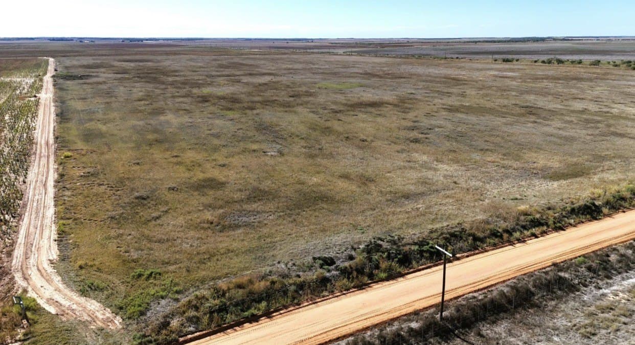 11.72 acres in Haskell County gallery image 4