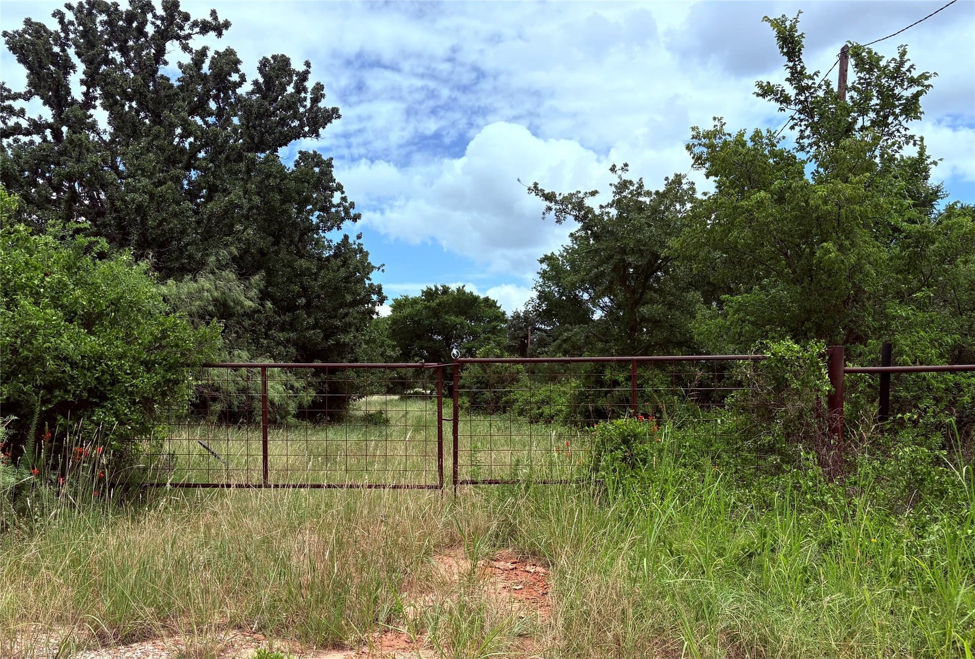 10.21 acres in Eastland County gallery image 3