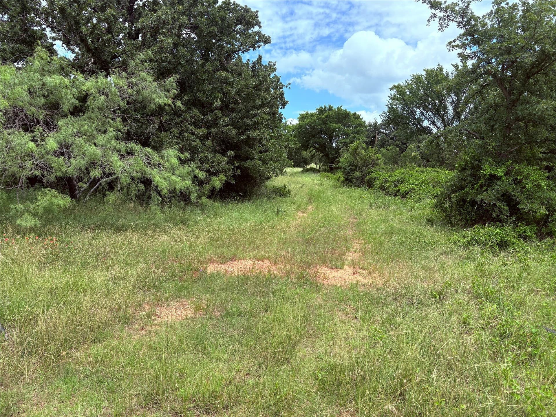 10.21 acres in Eastland County gallery image 4