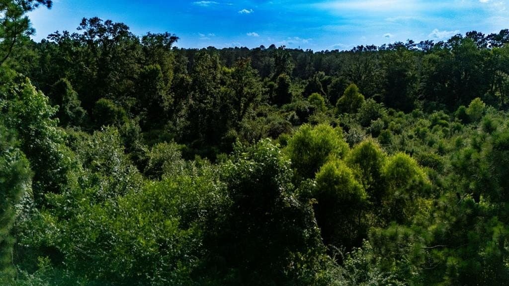 10 acres in Texas County - photo 5