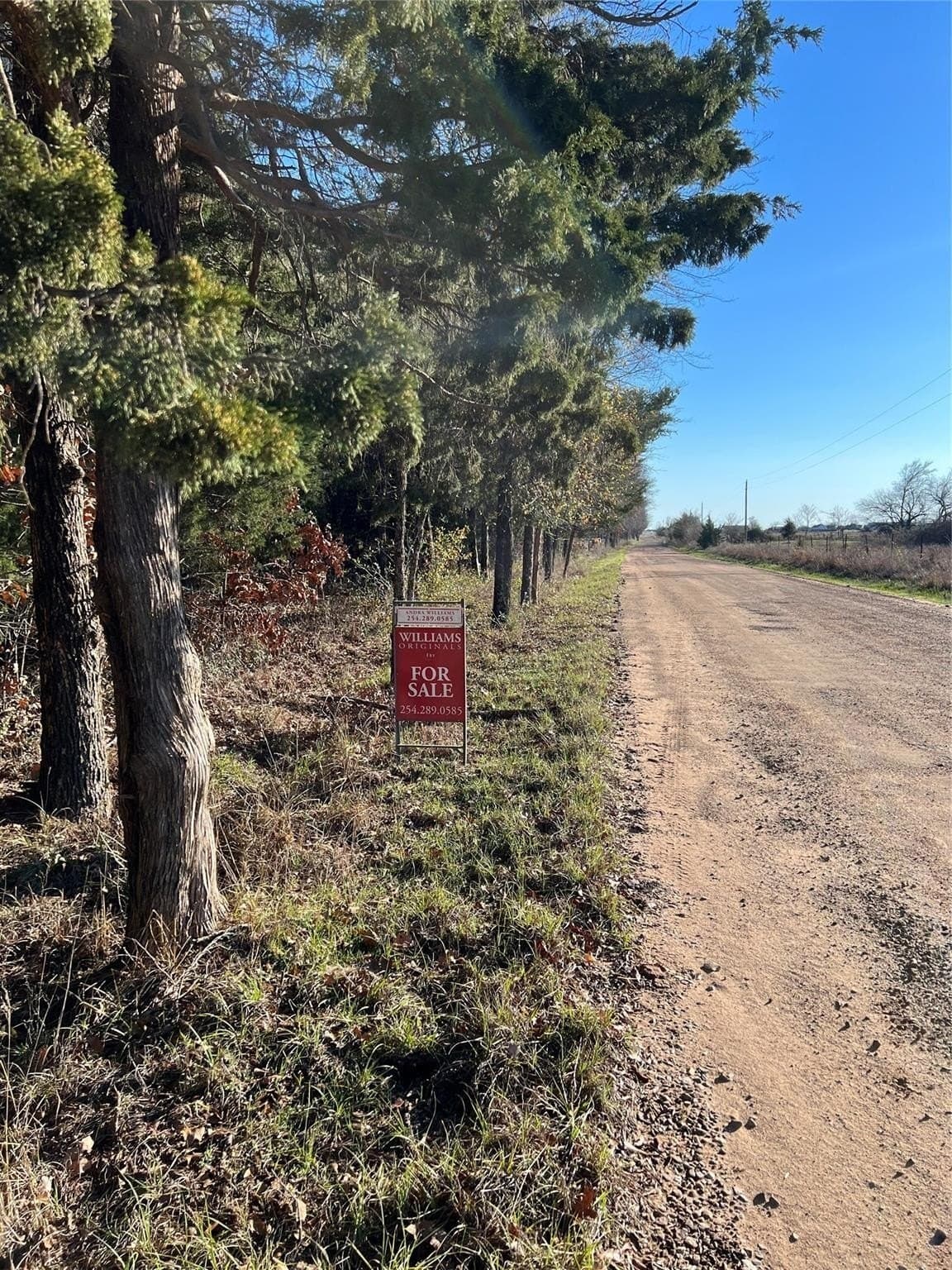 20 acres in Fannin County - photo 3