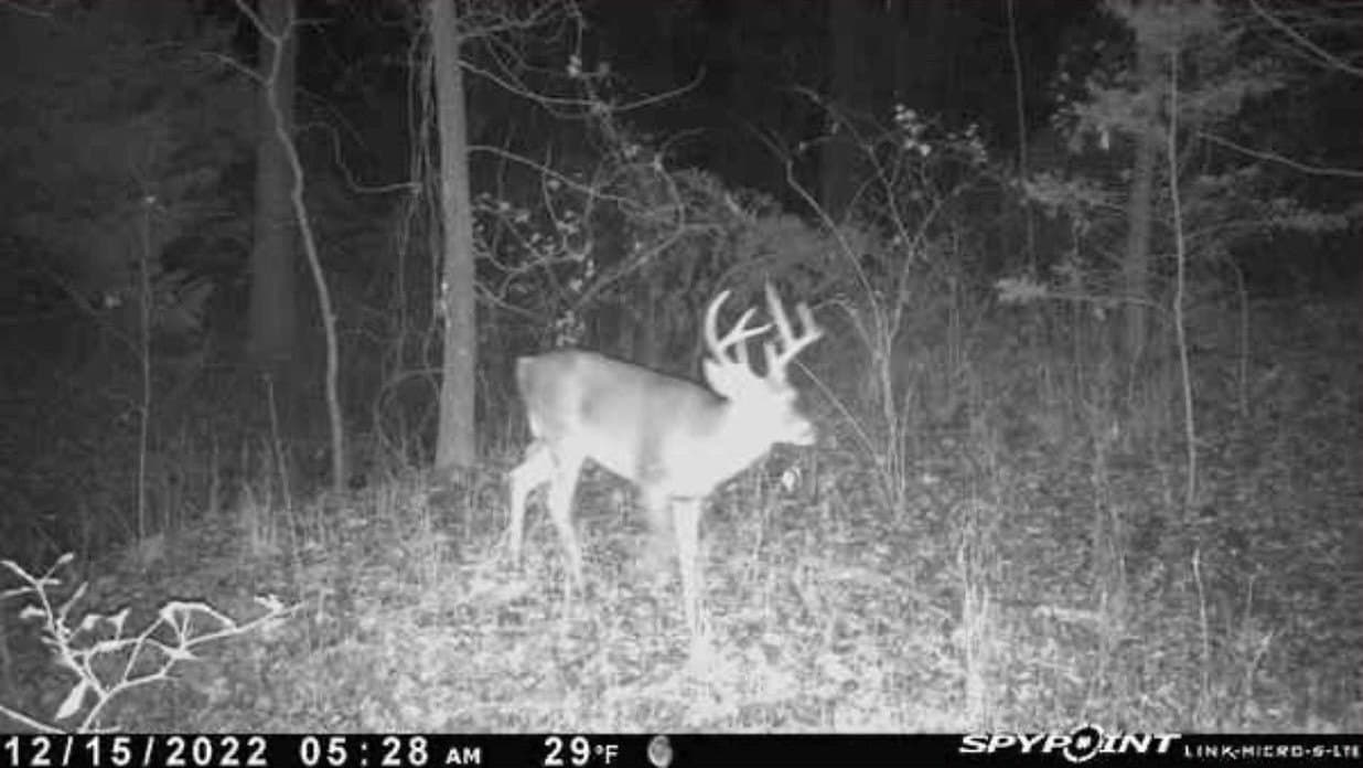 20 acres in Fannin County - photo 13
