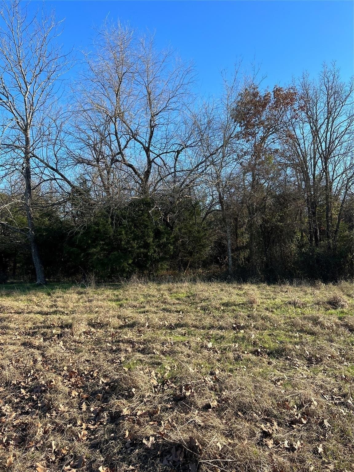 20 acres in Fannin County - photo 4