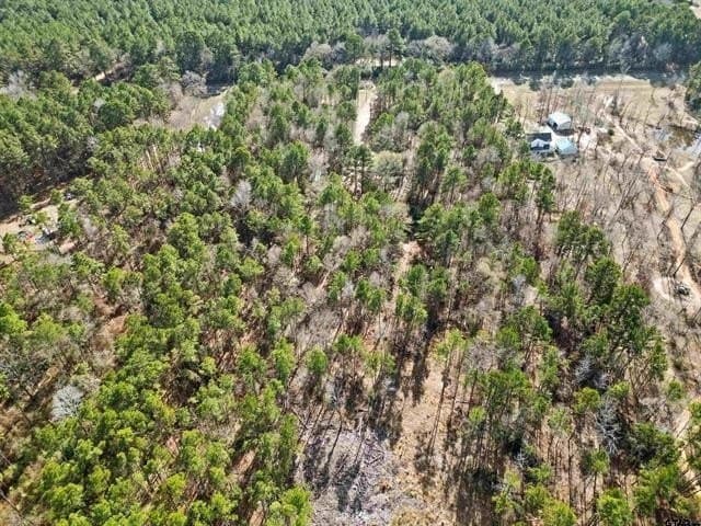 16 acres in Cherokee County gallery image 2