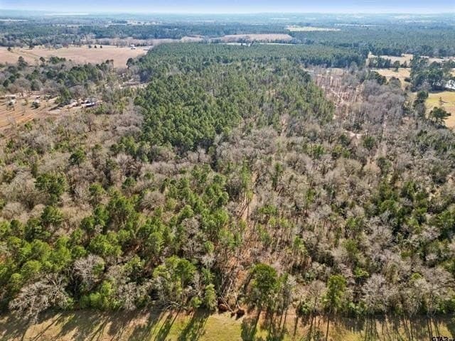 16 acres in Cherokee County gallery image 4