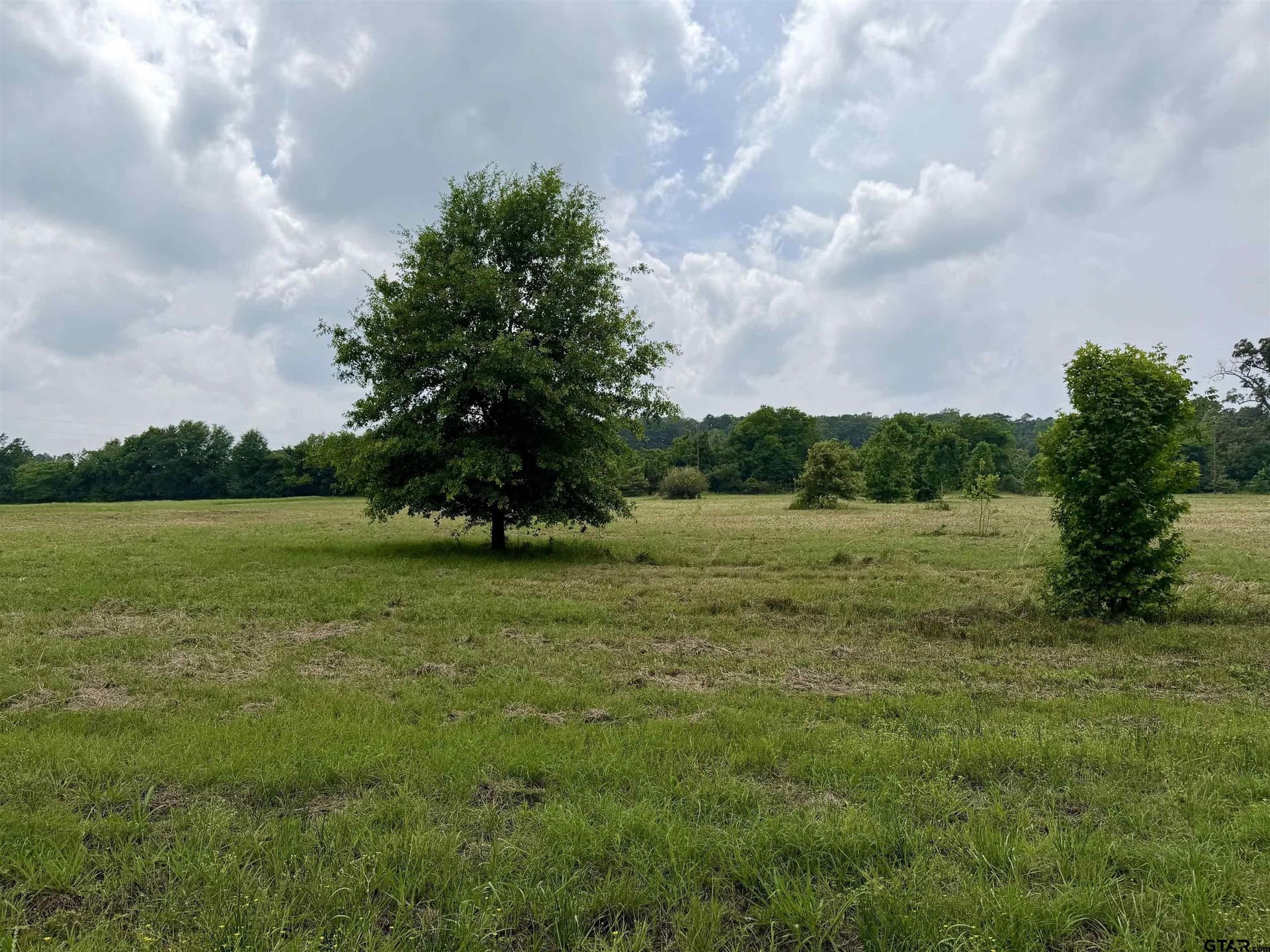 8 acres in Henderson County gallery image 4