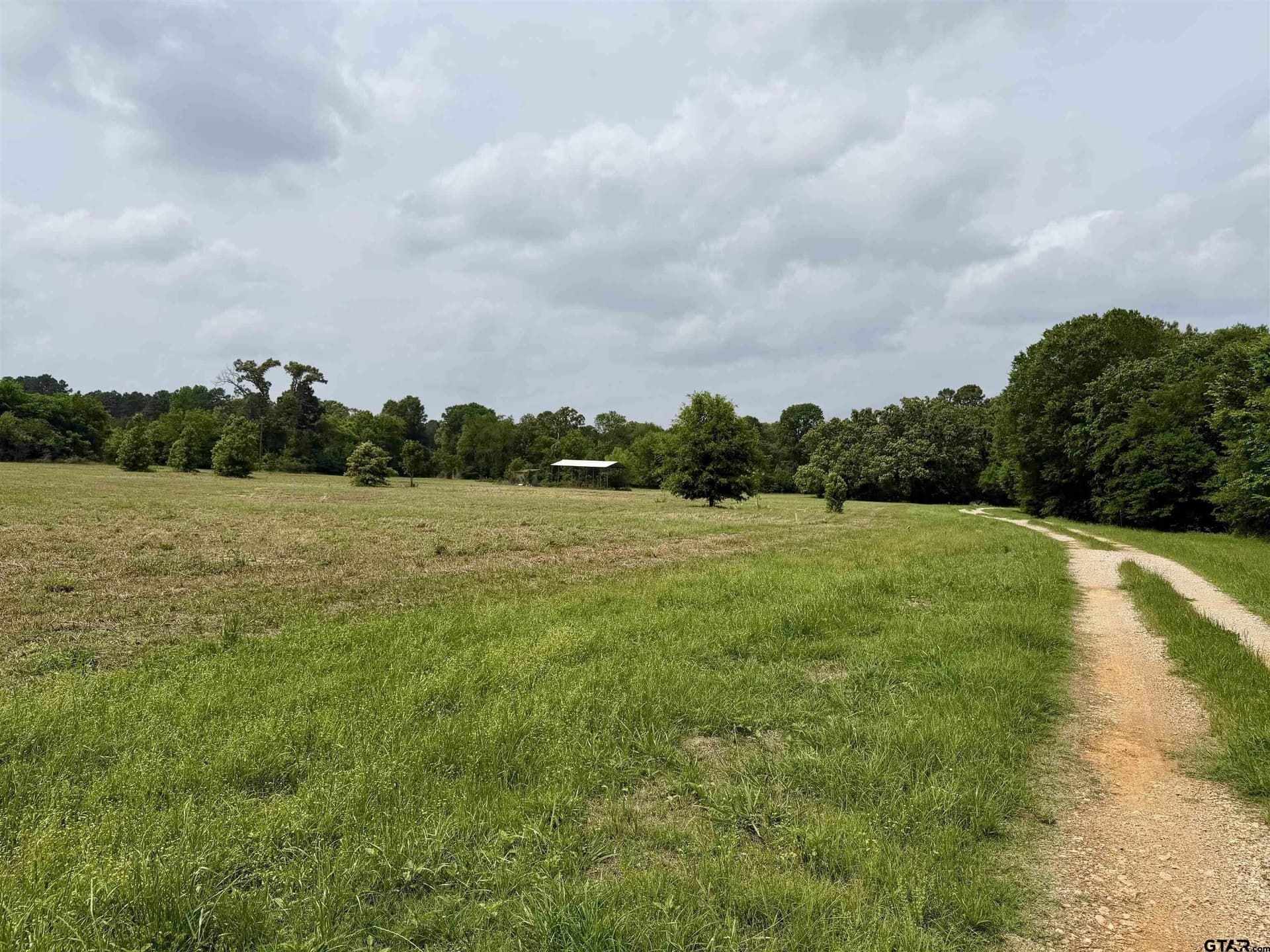 8 acres in Henderson County gallery image 2