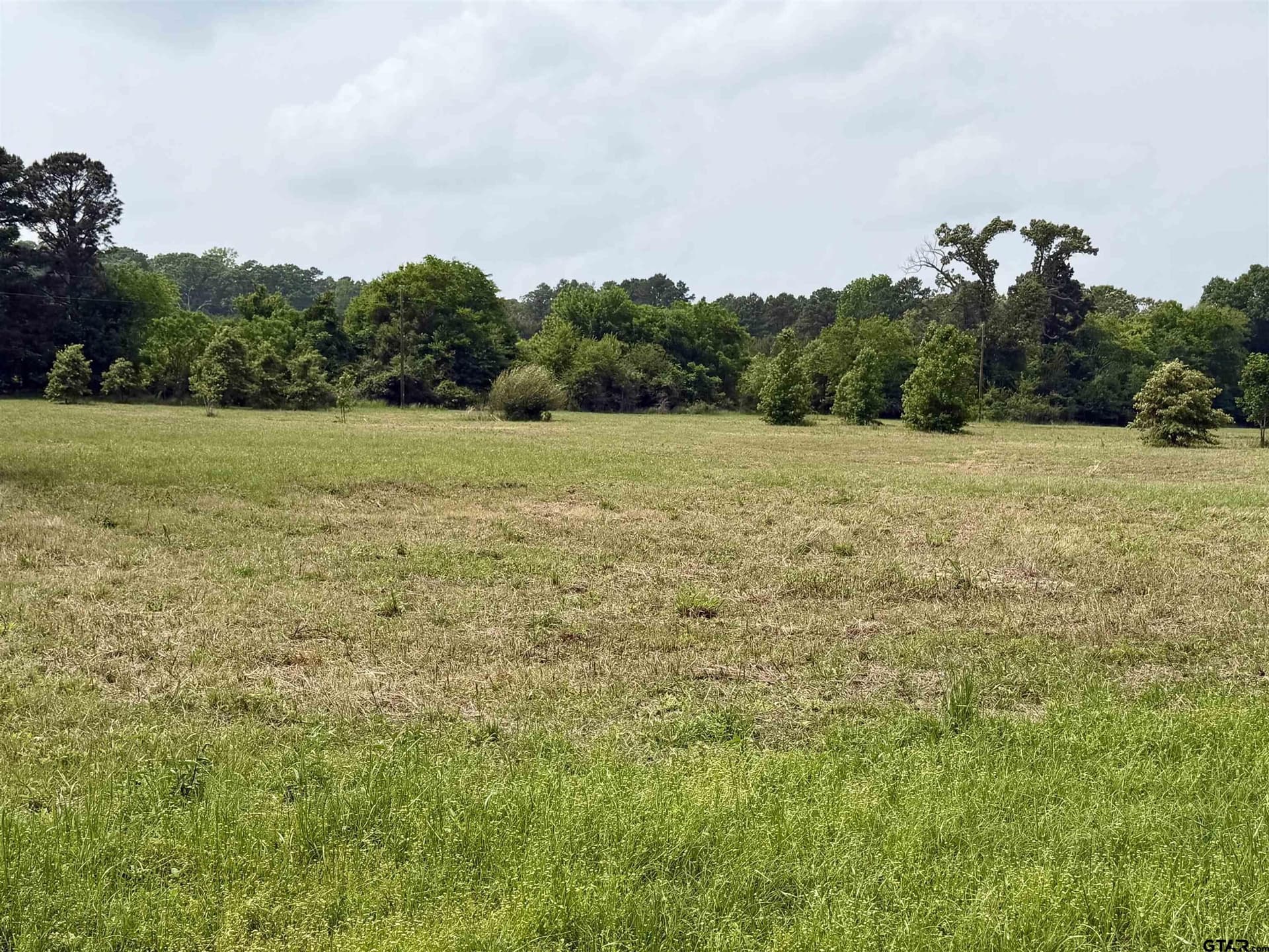 8 acres in Henderson County - photo 8