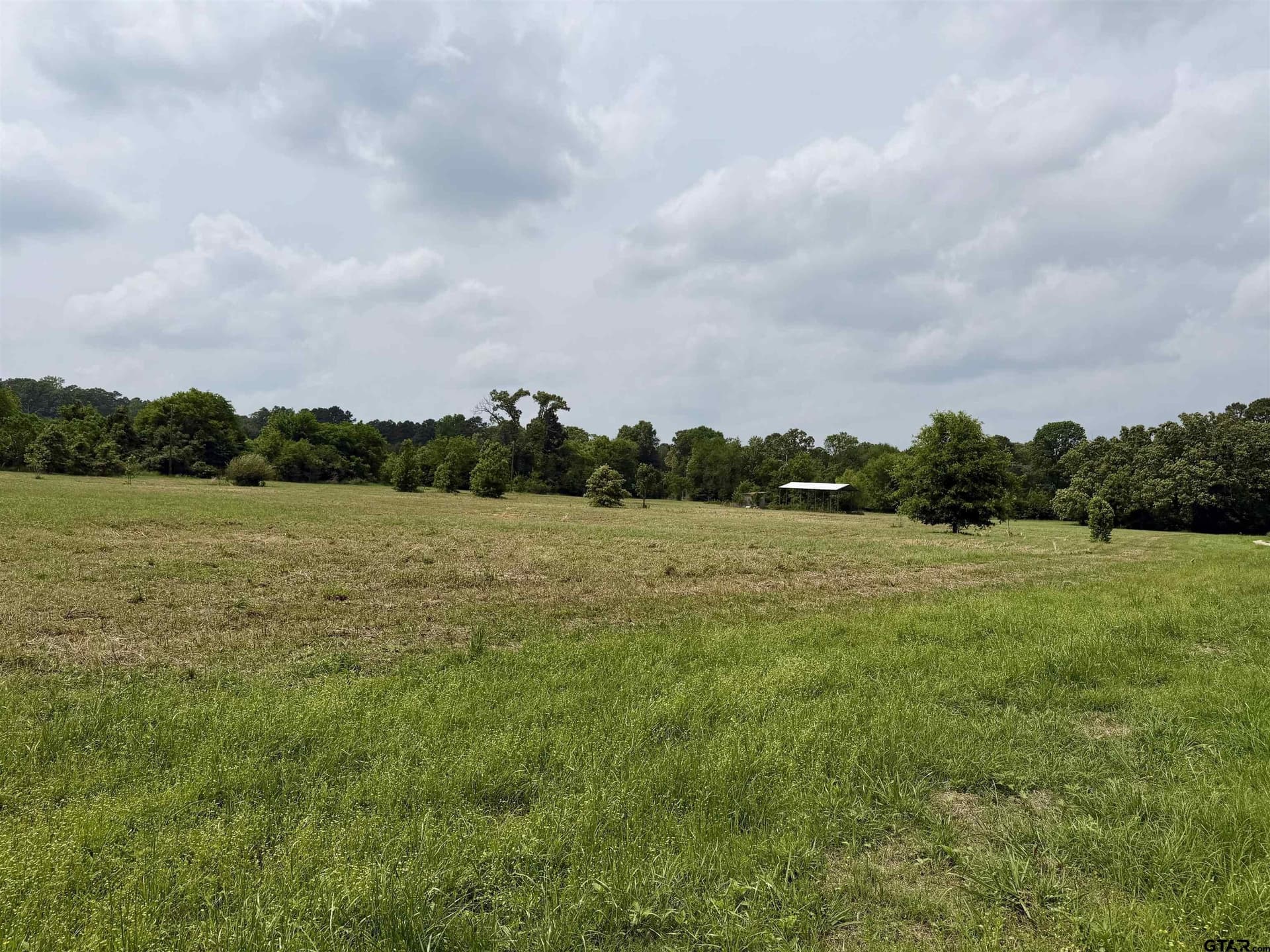 8 acres in Henderson County - photo 6