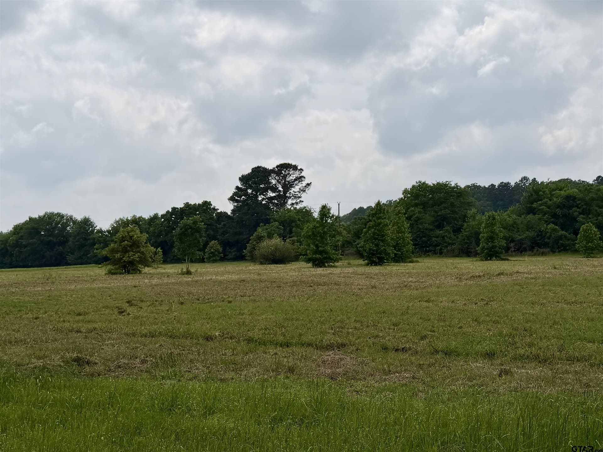8 acres in Henderson County gallery image 3