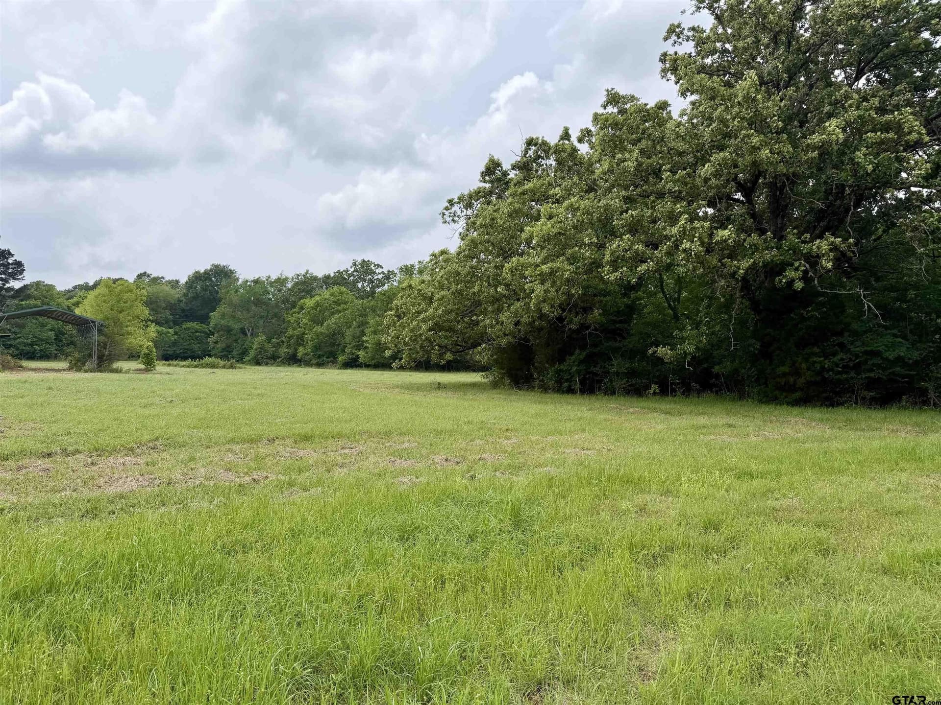 8 acres in Henderson County - photo 7