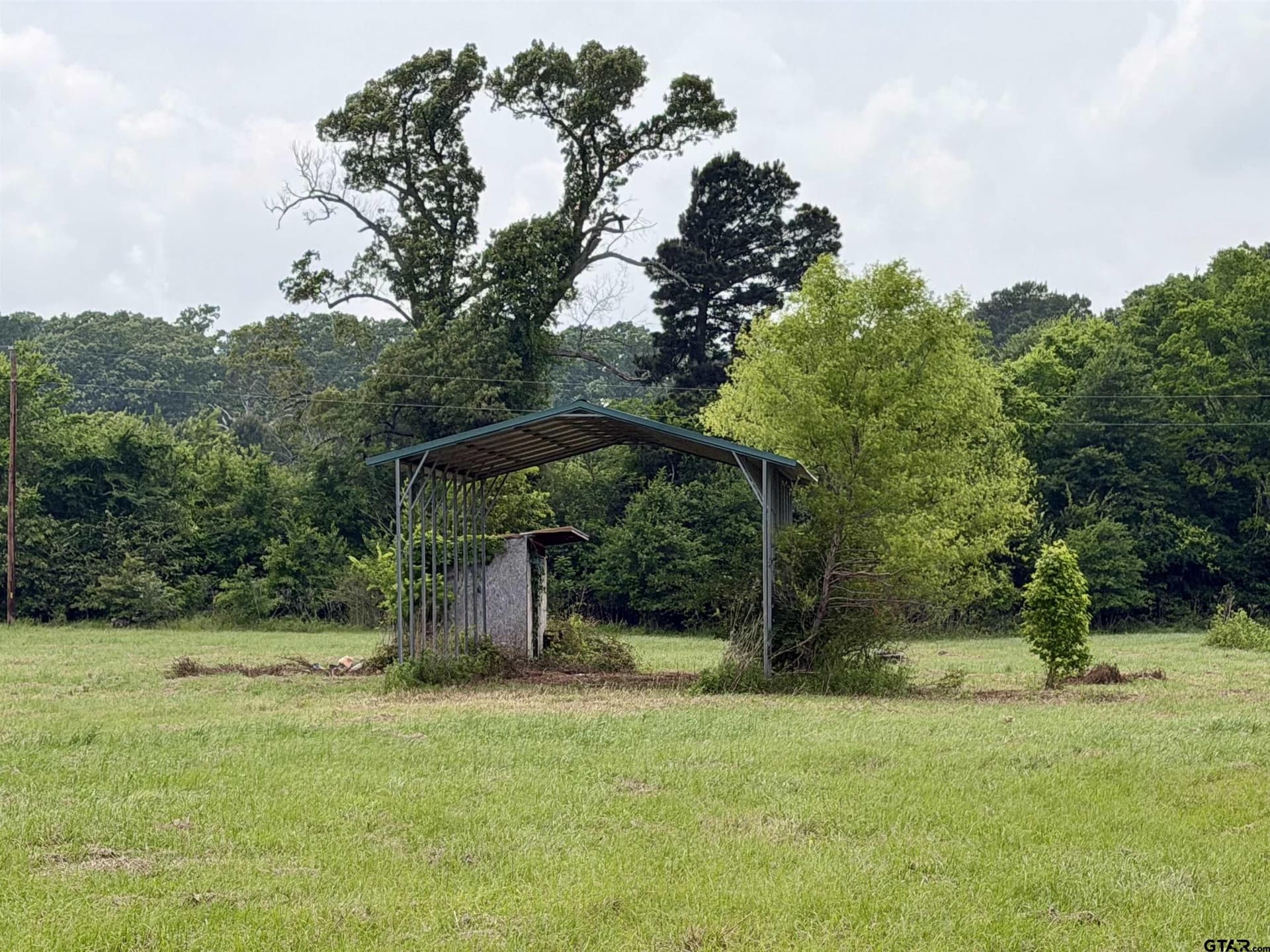 8 acres in Henderson County - photo 9