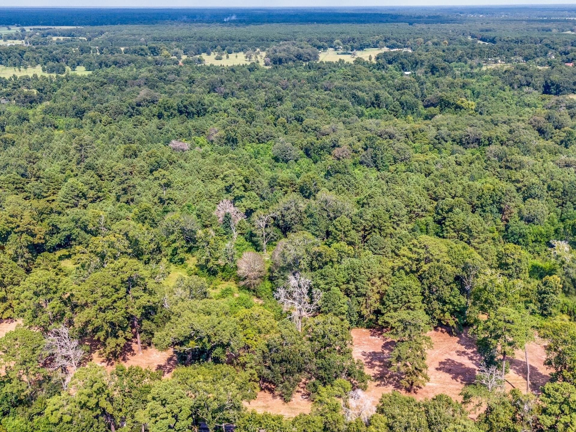 15 acres in Liberty County gallery image 2