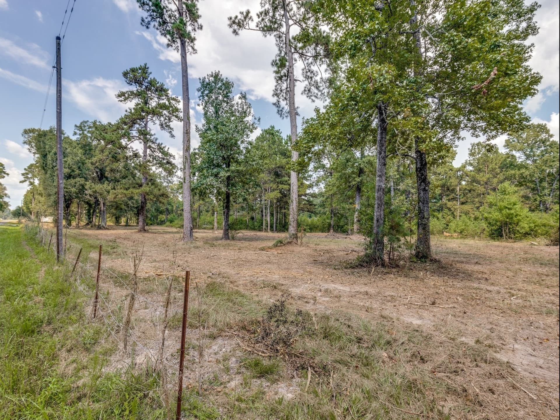 15 acres in Liberty County gallery image 4