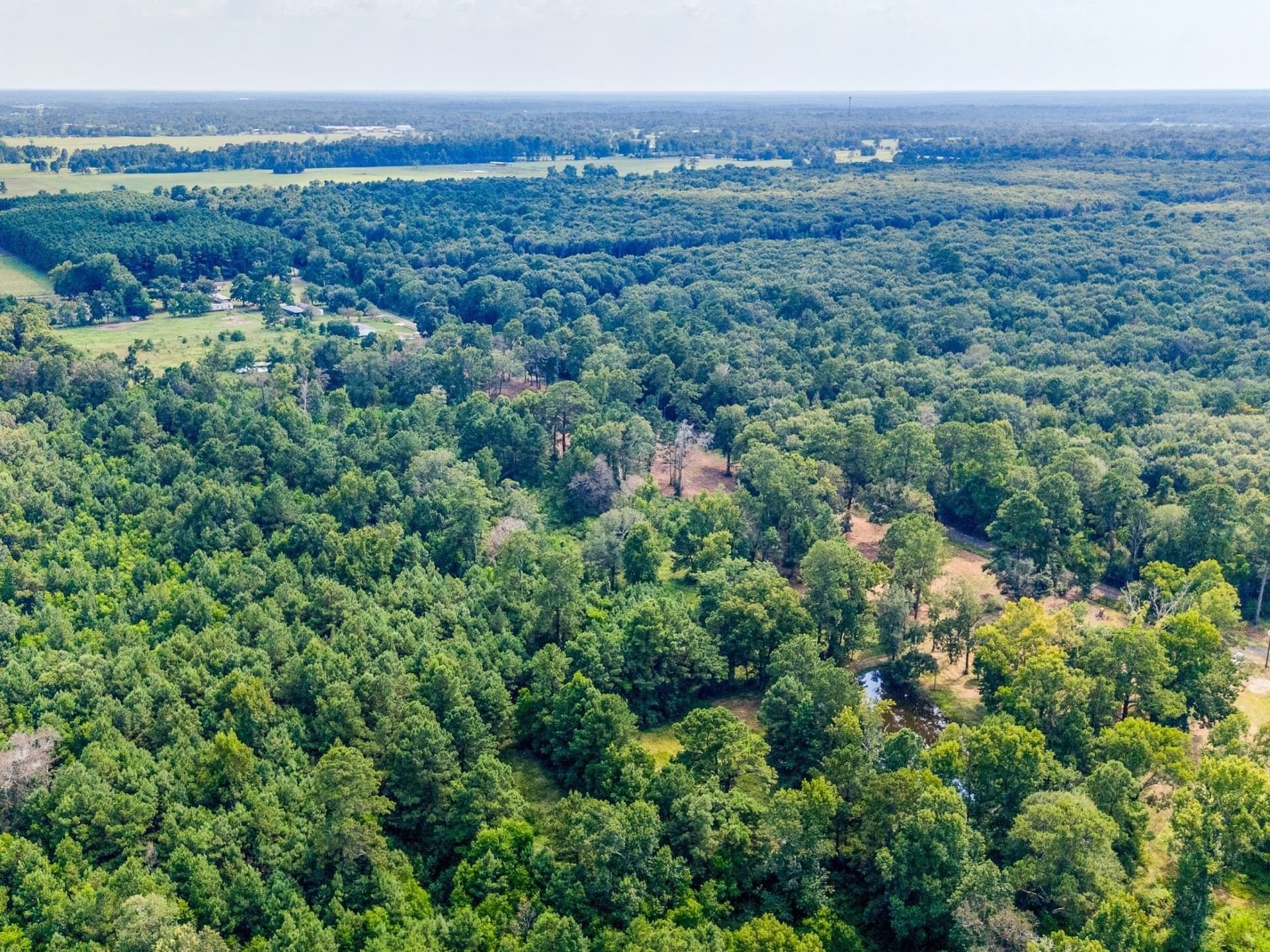 15 acres in Liberty County gallery image 3
