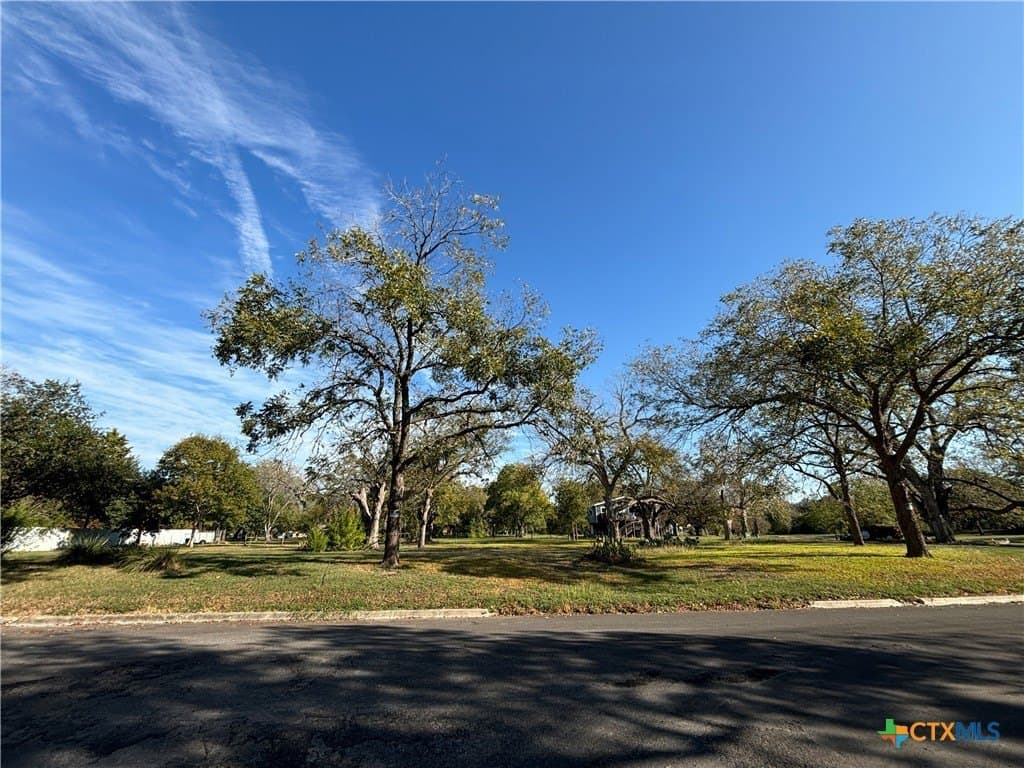 0.27 acres in Guadalupe County gallery image 3