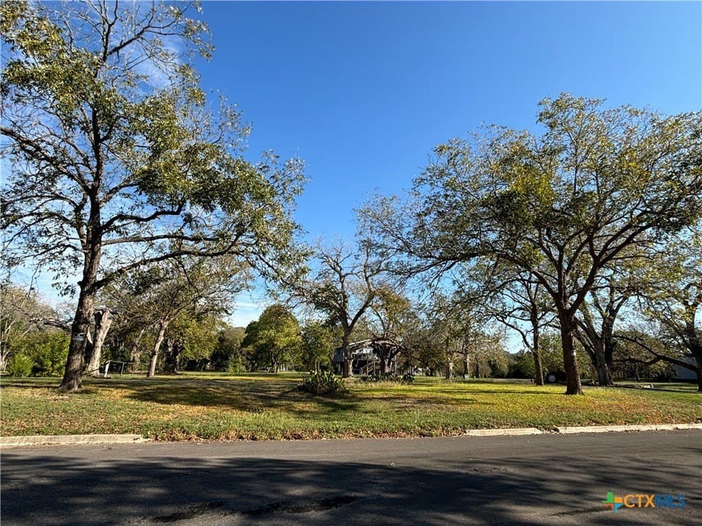 0.27 acres in Guadalupe County gallery image 4