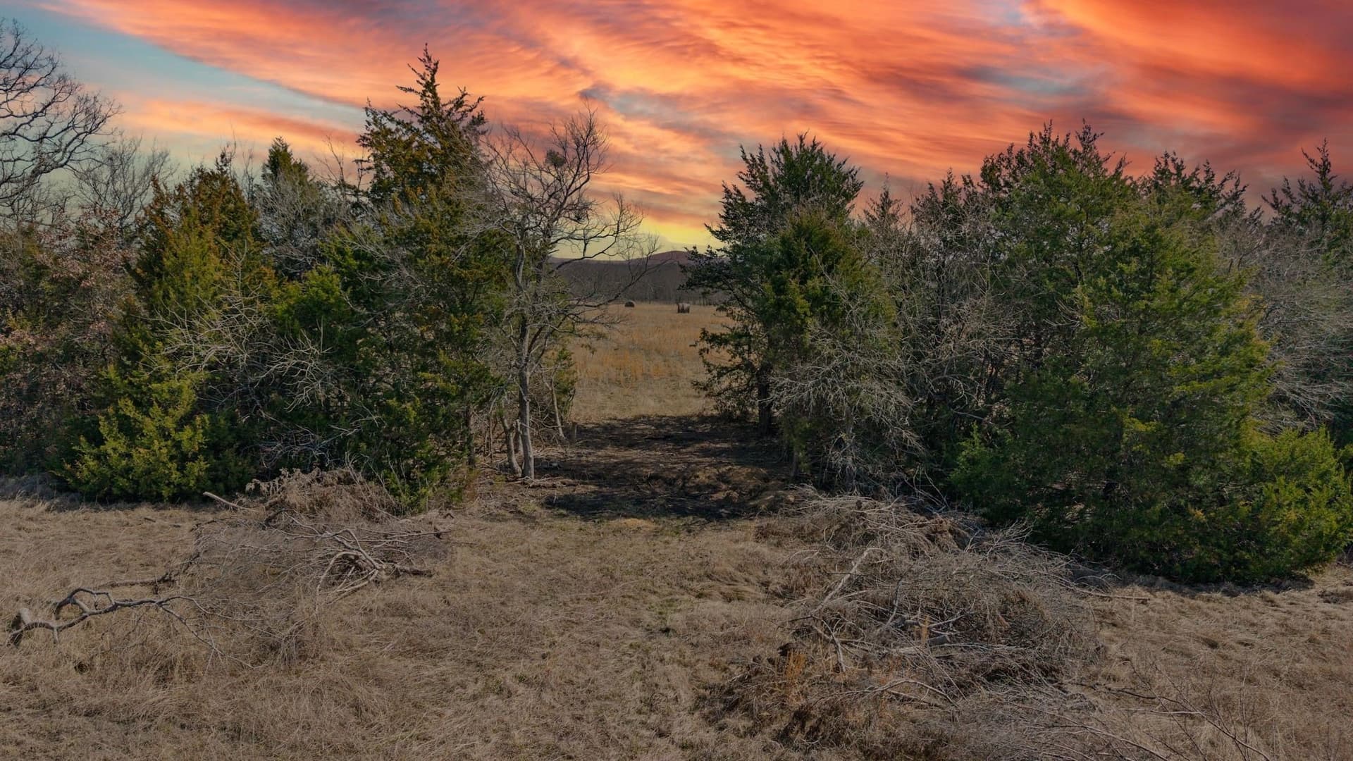 18.77 acres in Hunt County - photo 2