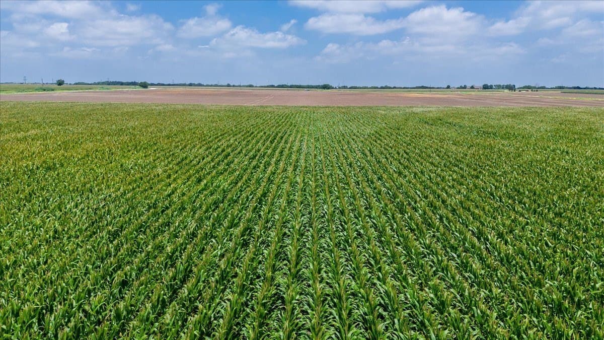 30 acres in Hill County - photo 11