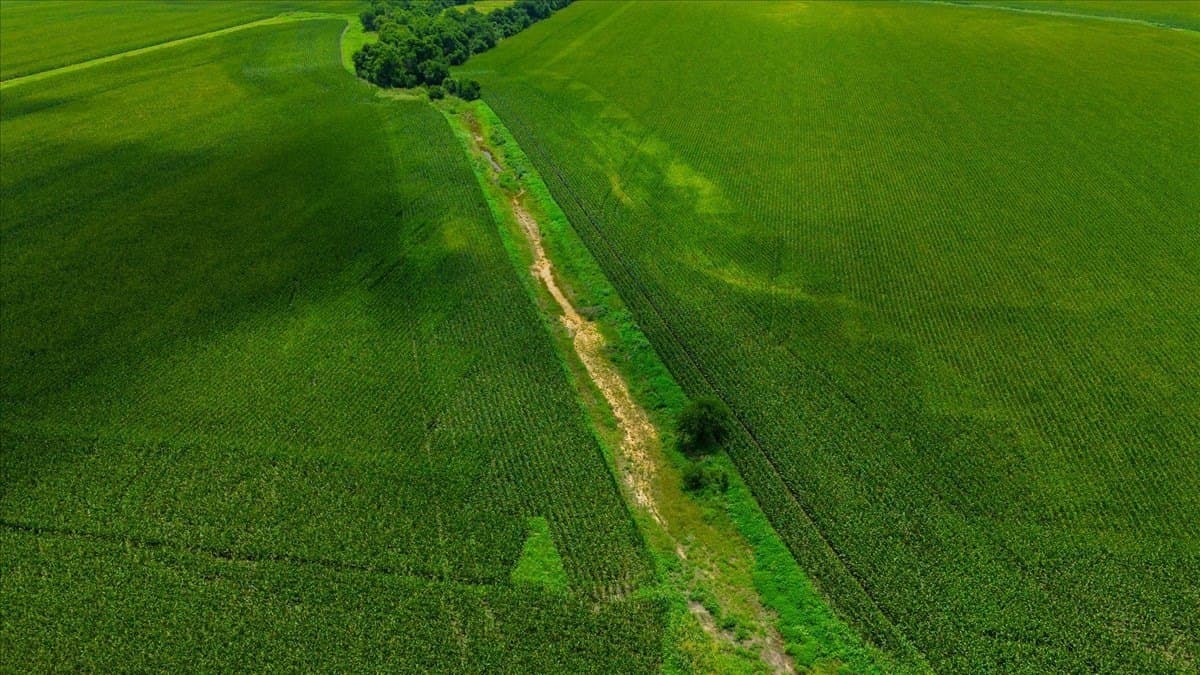 30 acres in Hill County - photo 6
