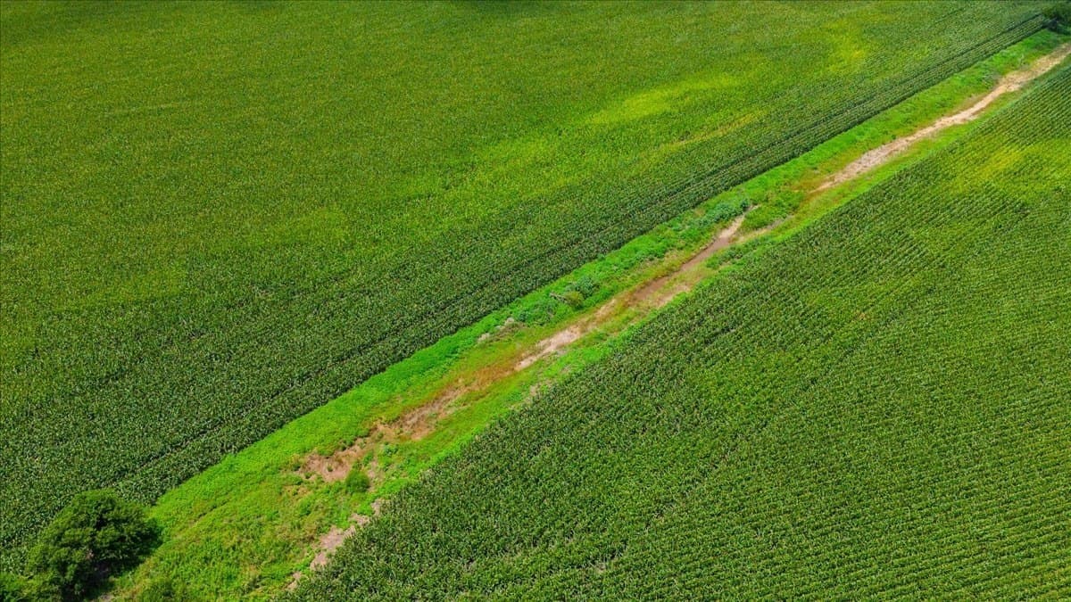 30 acres in Hill County - photo 8
