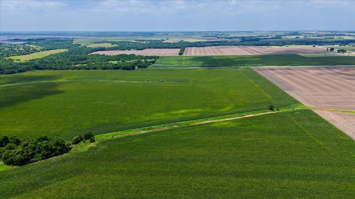 30 acres in Hill County - photo 7