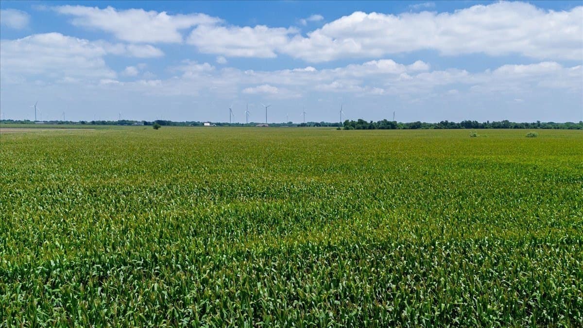 30 acres in Hill County - photo 12