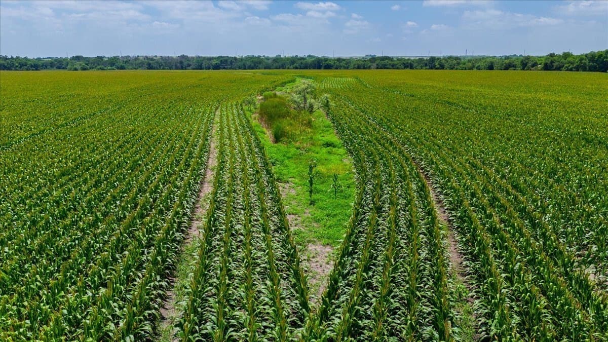 30 acres in Hill County - photo 10