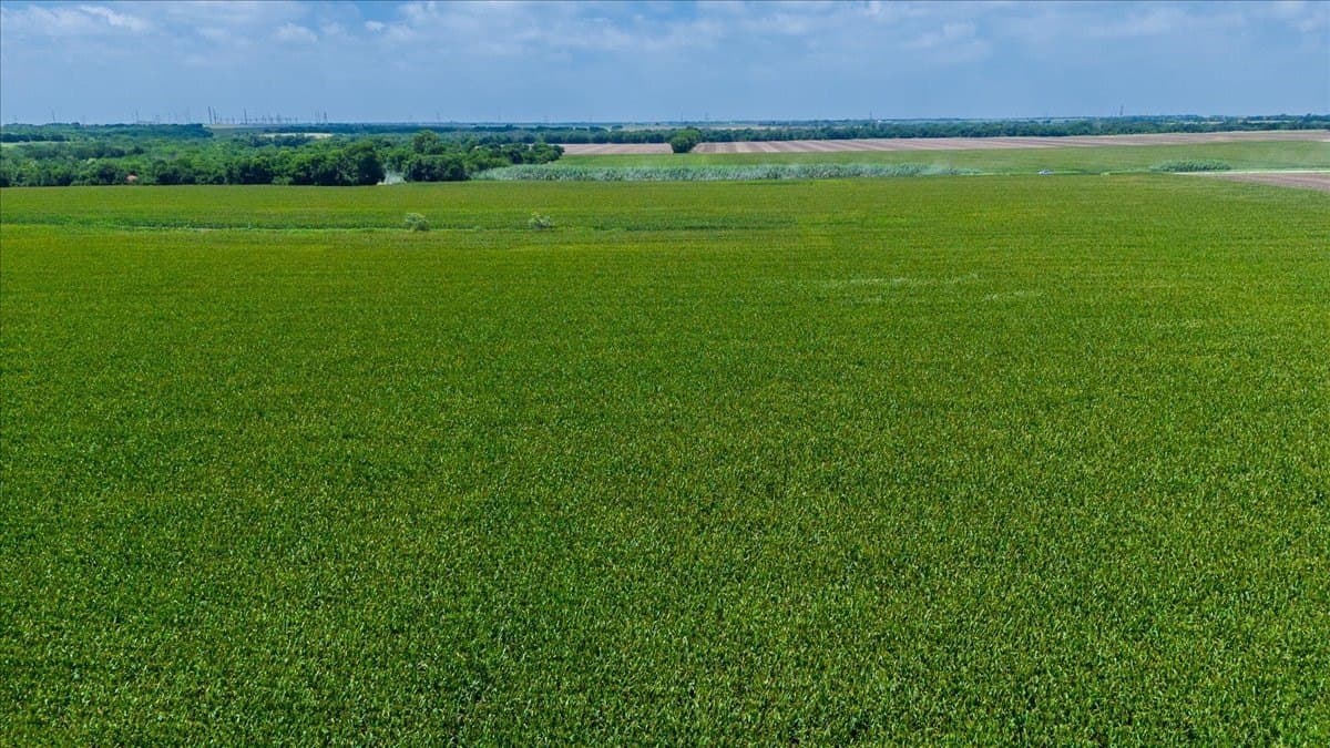 30 acres in Hill County - photo 9