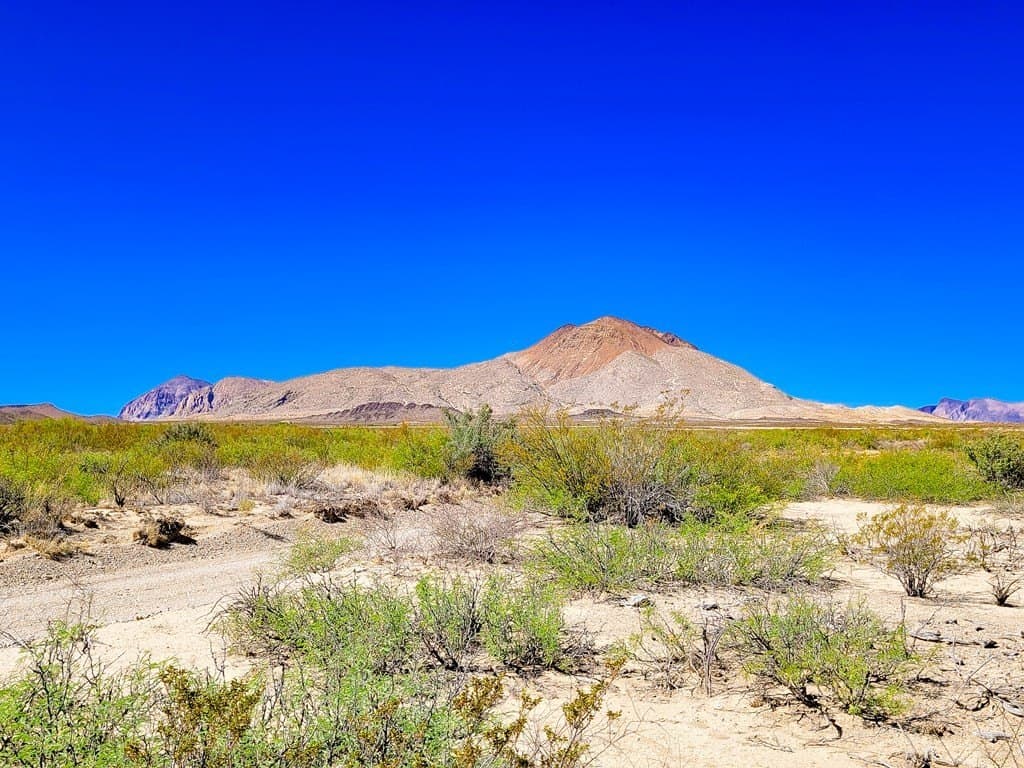 10 acres in Brewster County - photo 6