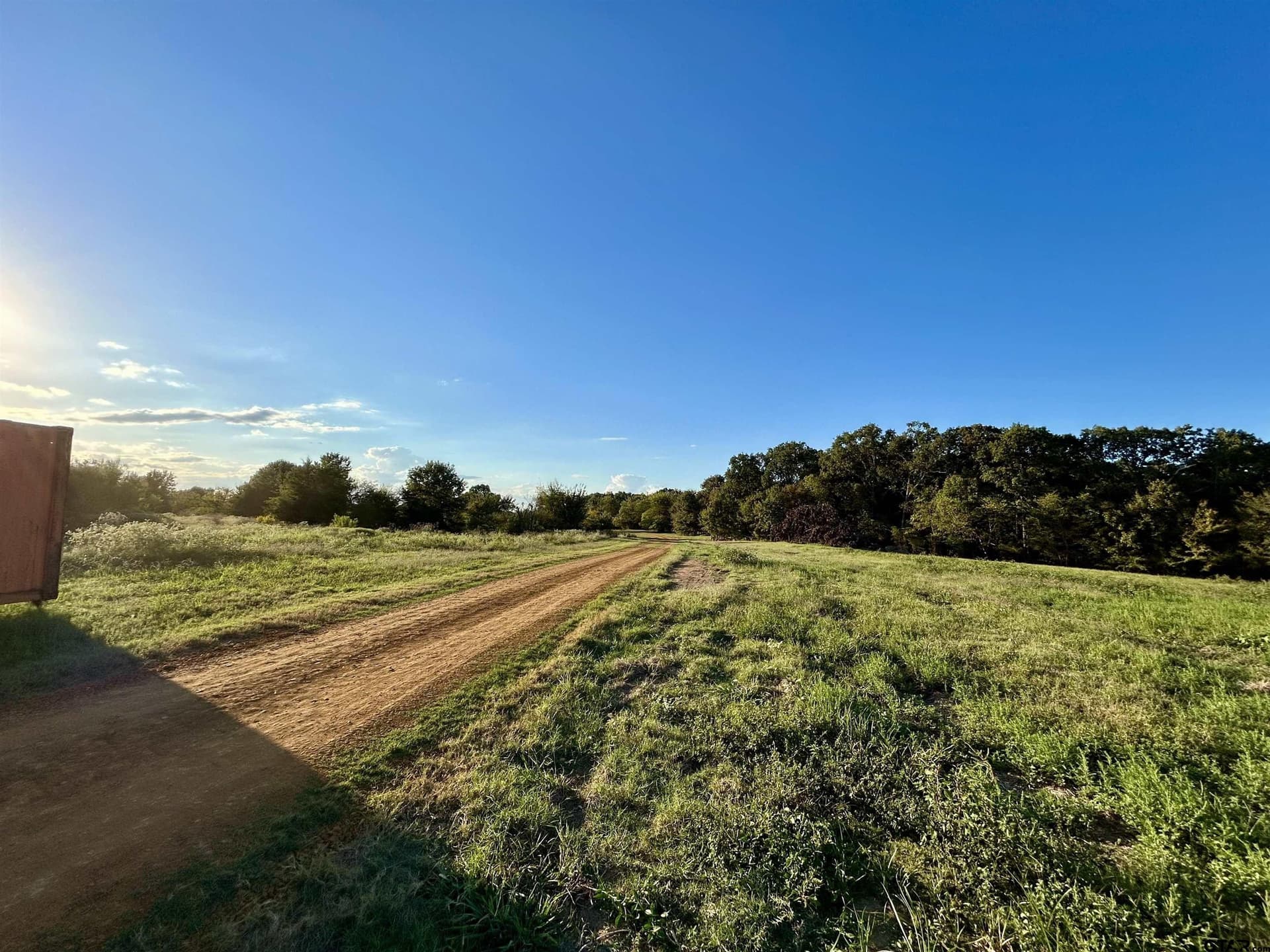 10.09 acres in Titus County gallery image 3