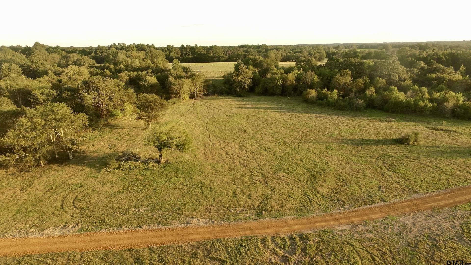 10.09 acres in Titus County