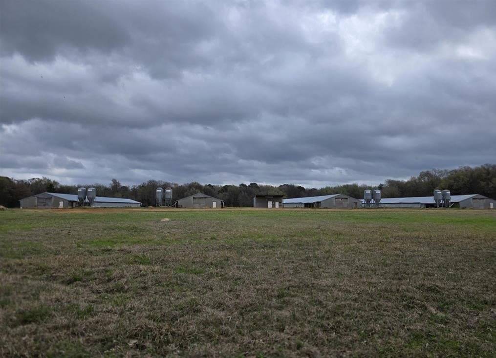 161.4 acres in Upshur County - photo 15
