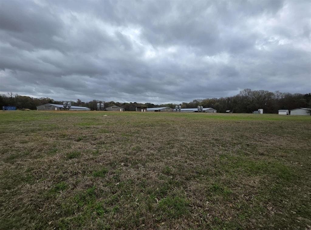 161.4 acres in Upshur County - photo 16